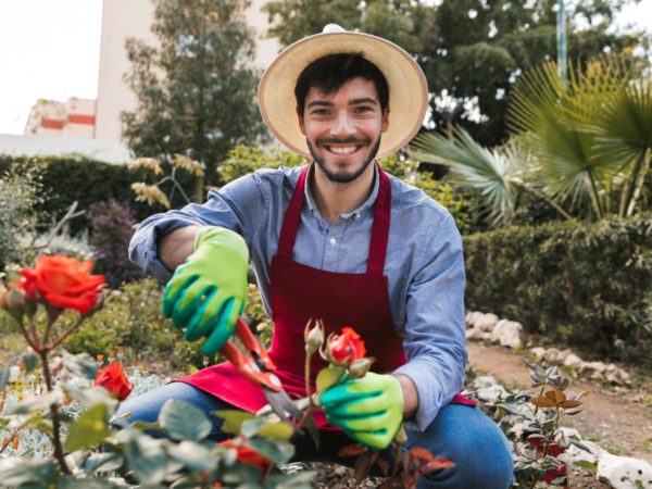 Serviços de Jardinagem